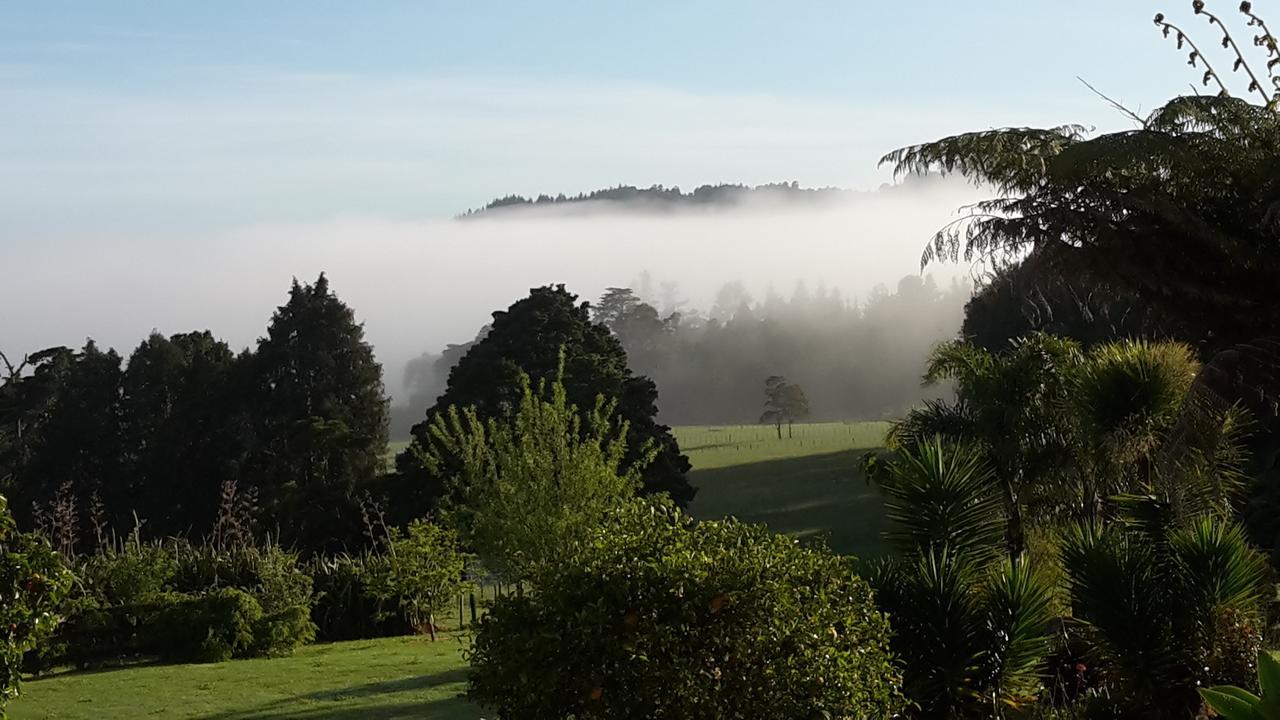 Vinegar Hill Bed & Breakfast Kauri Dış mekan fotoğraf